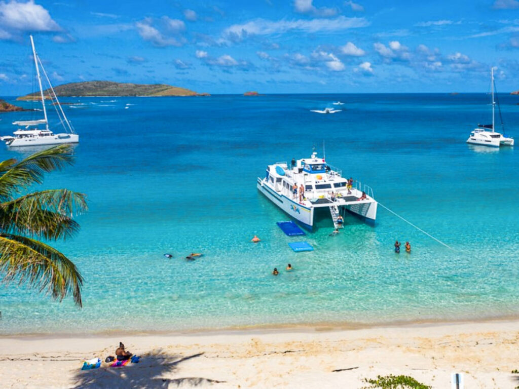 A catamaran docked near the tropical coast