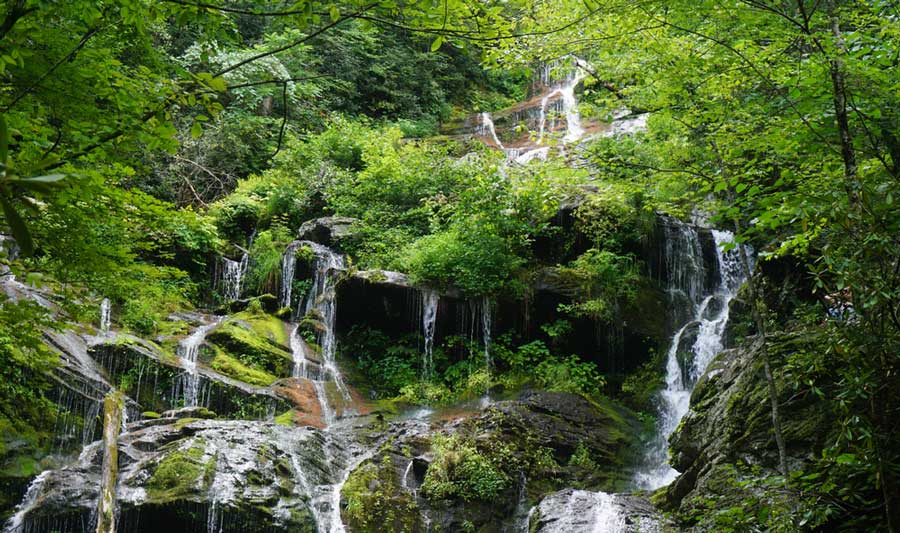 Scenic view of the greenery around the Catawba Falls