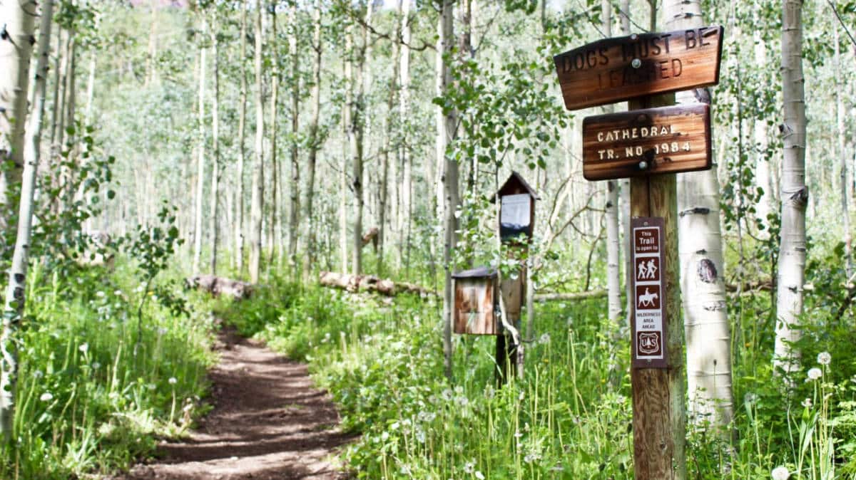 View of the signage of Cathedral Lake Trail surrounded by greenery