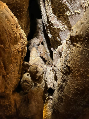 Cave Popcorn protruding from the walls at Wind Cave National Park
