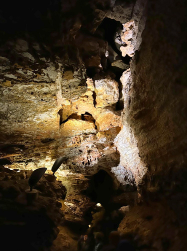 Views that span multiple stories at Wind Cave National Park