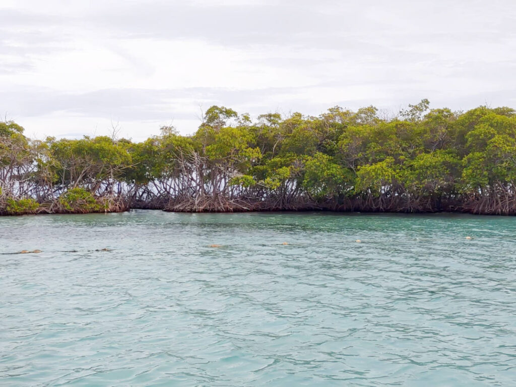 Clear sky over the Cayo Caracoles