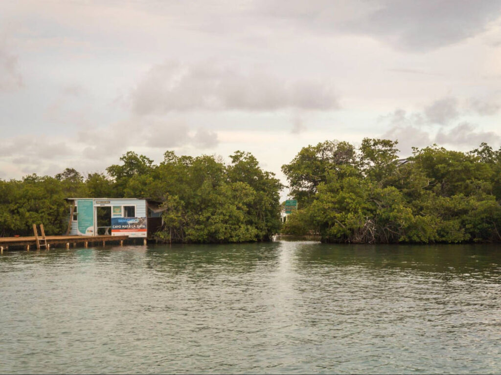 View of a dock in Cayo Mata La Gata