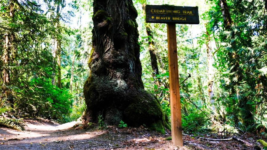 View of the Cedar Hiking Trail signage in Tryon Creek