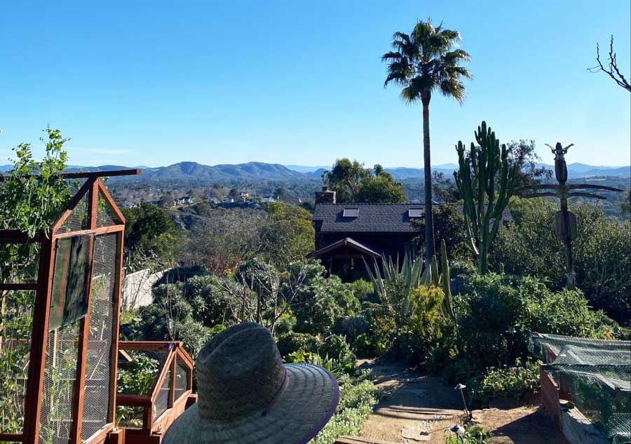 A backyard view from the Center For Creative Renewal
