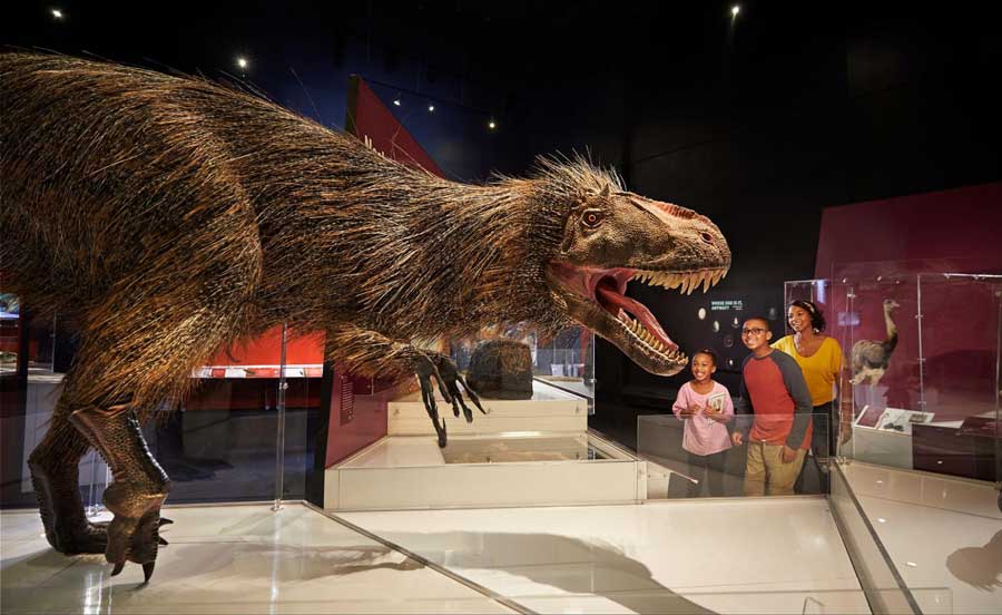 View of a dinosaur inside the Center of Science and Industry