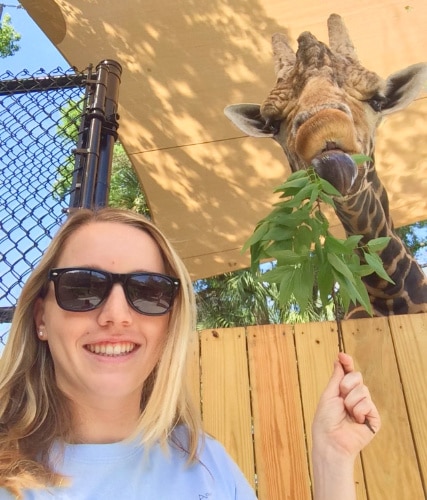 View of the author feeding a giraffe at the Central Florida Zoo