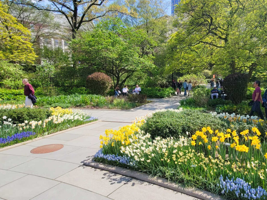 The people looking at the blooming flowers in Central Park Conservatory Garden