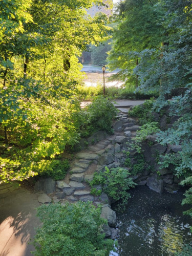 A bridge over a small lake surrounded by greenery at Central Park on a sunny day