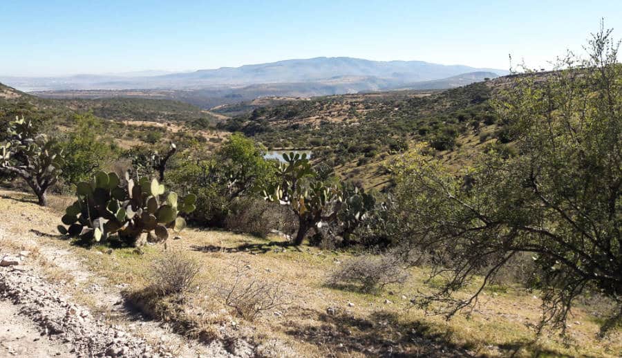 Scenic view from the hiking desert landscape in Cerro San Miguel