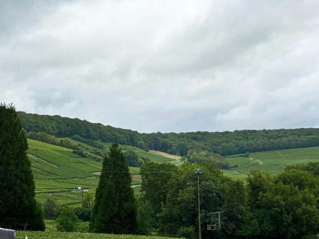 View of the wide lush landscape of Champagne countryside