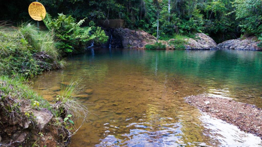 View of the clear water of Charco Azul in the middle of the forest