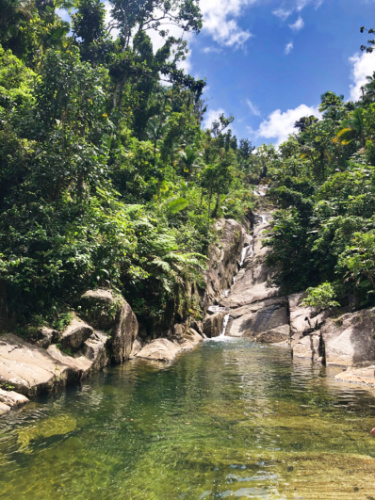 View of the waterfall and natural water pool in Charco El Hippie surrounded by greenery