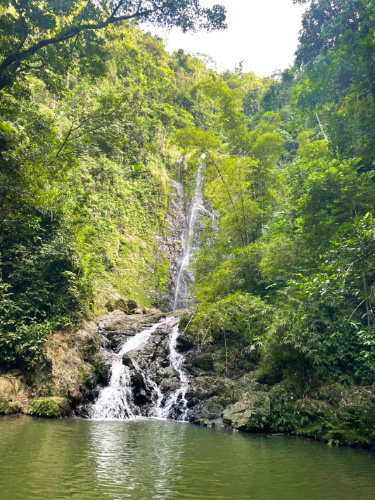 Scenic view of the falls surrounded by greenery in Charco Prieto
