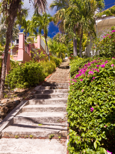 View of the 99 steps surrounded by greenery seen from the bottom in Charlotte Amalie