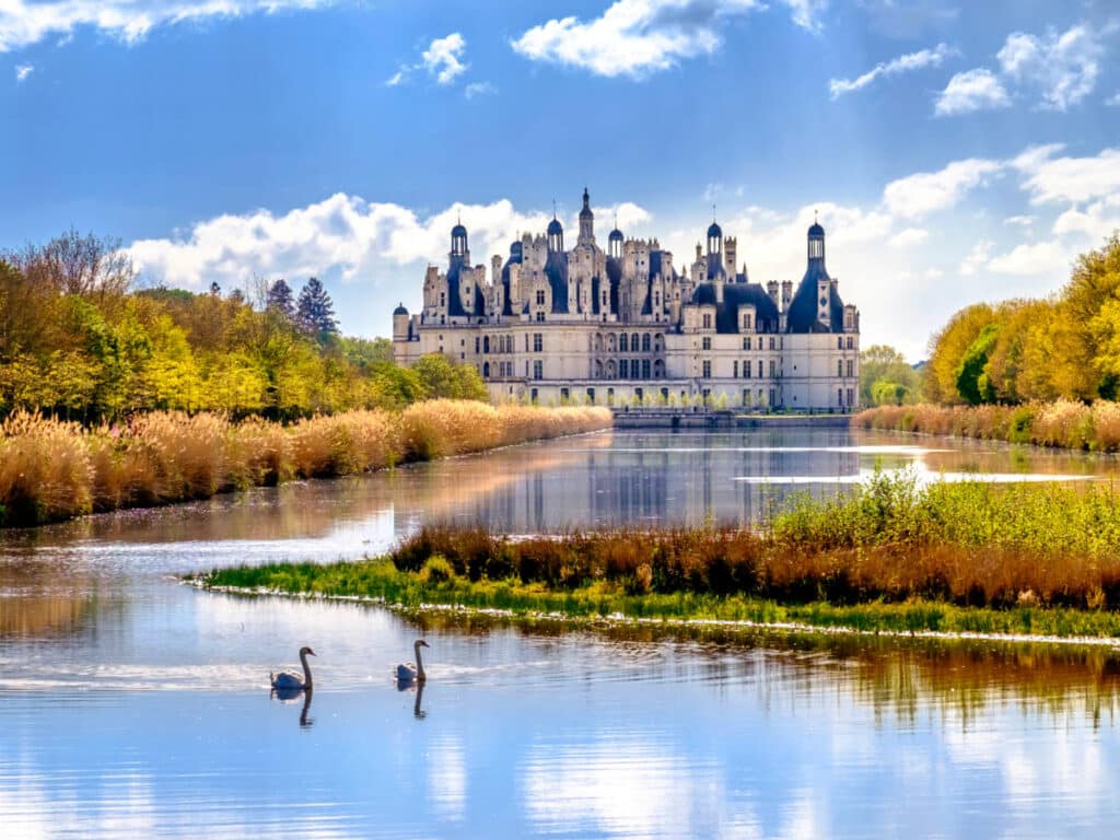 Picturesque view of the swan on the lake and the Château de Chambord from a distance