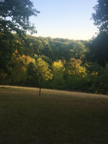 Author Rachel Kapelke-Dale view on a morning walk through the grounds of Château du Boulay Morin