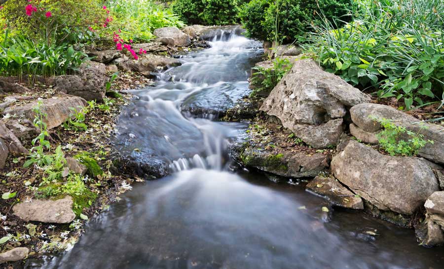 View of a creek in Cheekwood Estate and Gardens