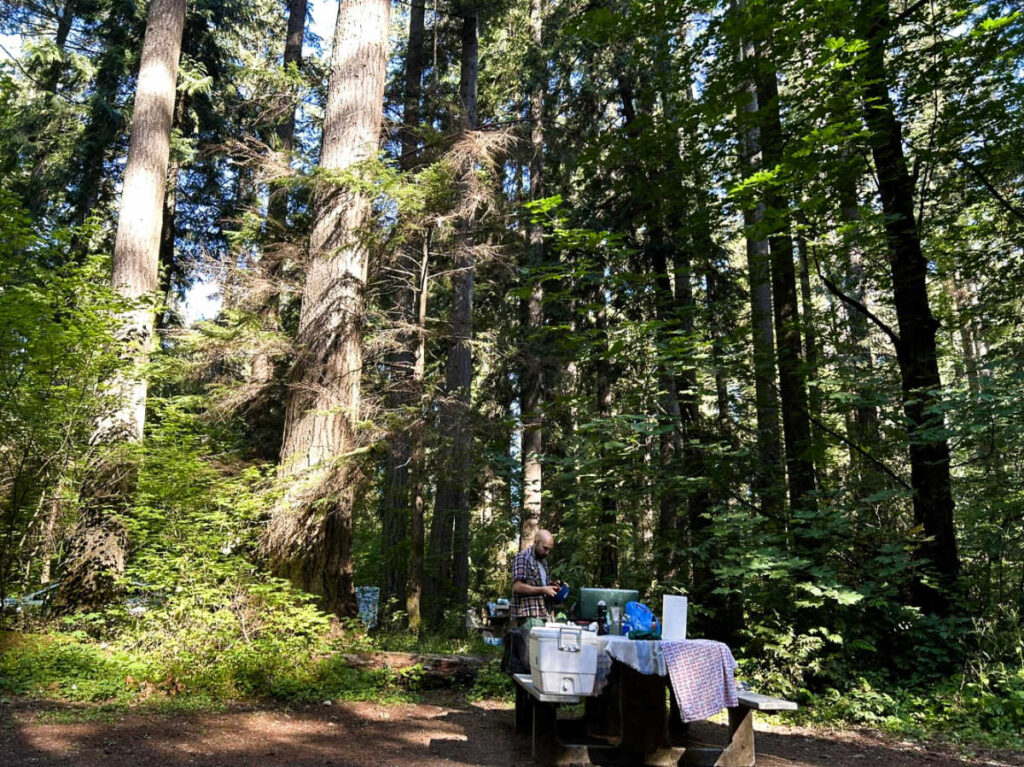 The author's husband preparing at the campsite surrounded by greenery
