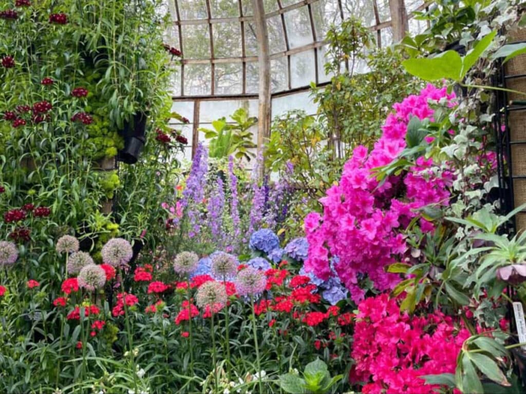 Colorful flowers inside the Lincoln Park Conservatory