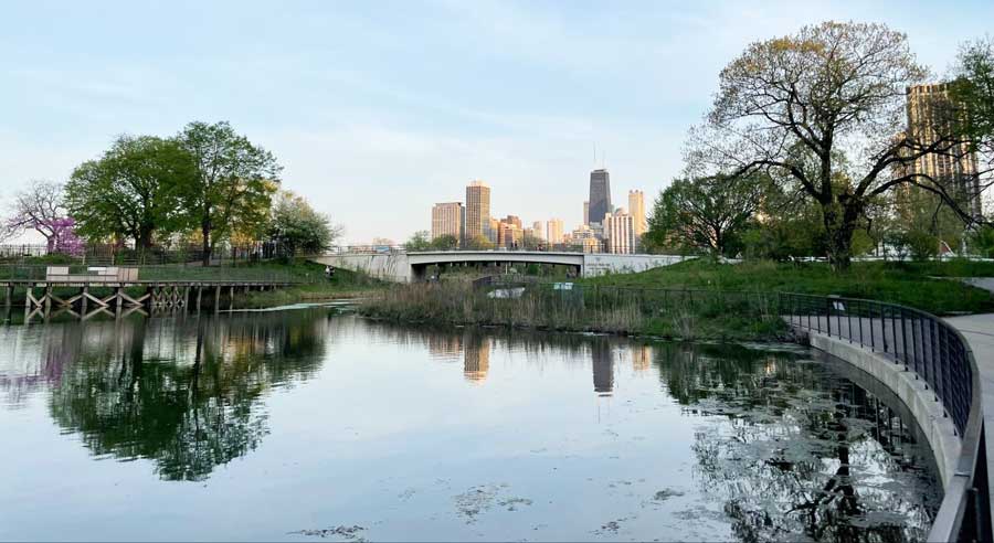 View of skyscrapers in Chicago from afar