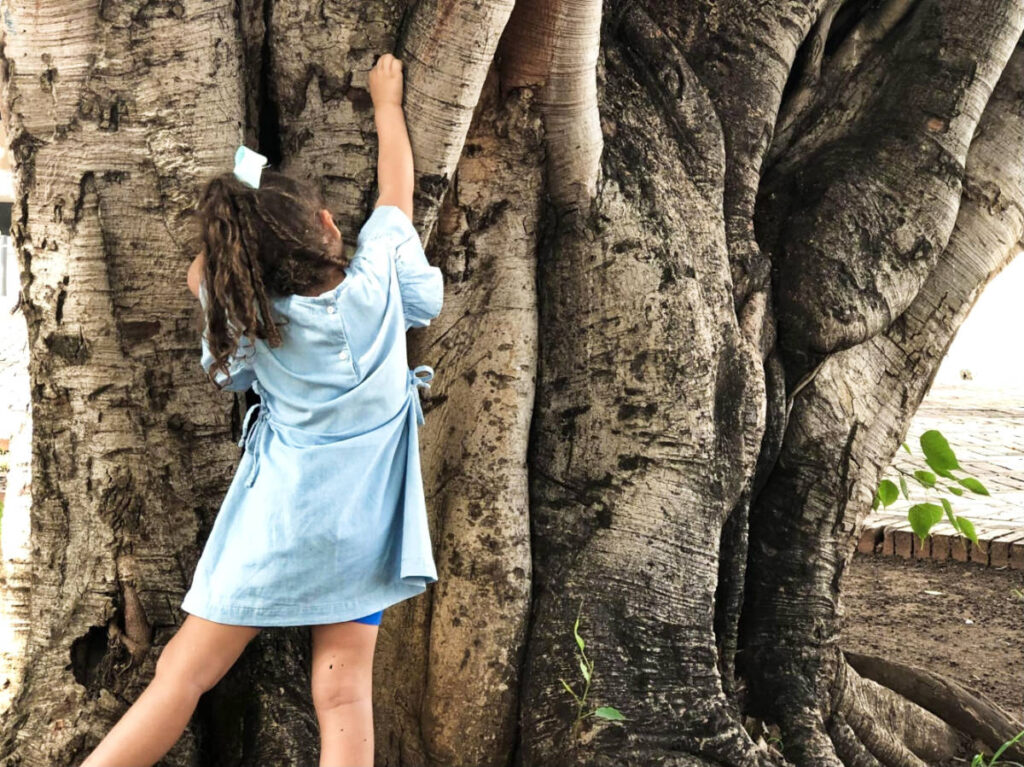 A child playing under a huge tree