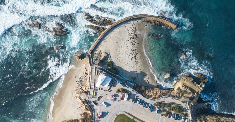 View of the Children's Pool in La Jolla from the top