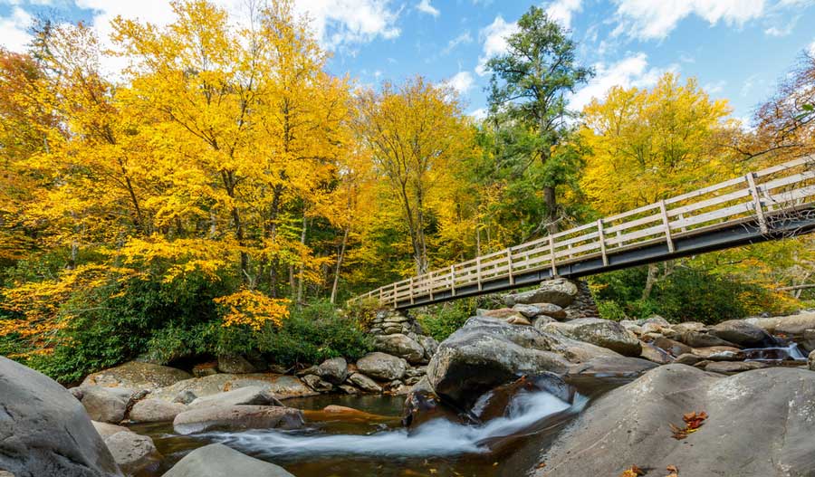 View of a rocky river in Chimney Tops trailhead