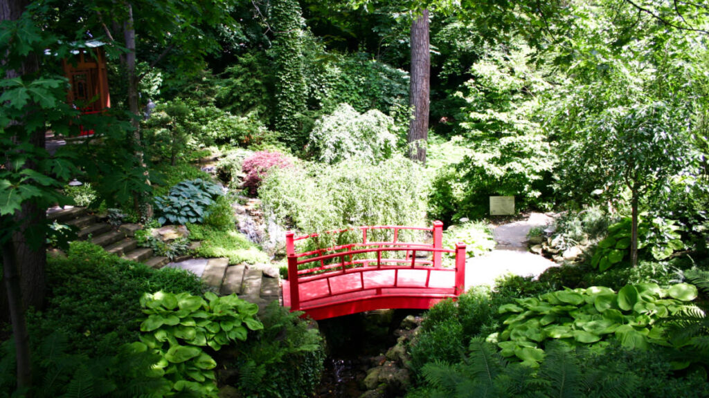 Overlooking view of the bright red bridge at the Chinese Garden in Cleveland Botanical Garden