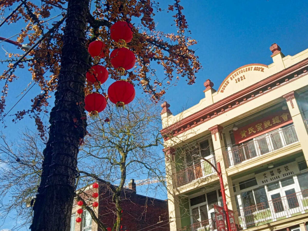 The Chinese lanterns on the trees at Pender Street