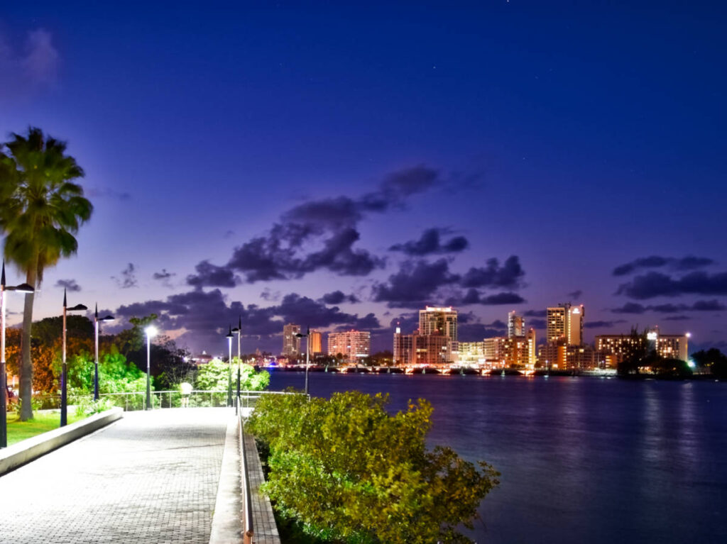 Night view of the cityscape from the walkway with palm trees around