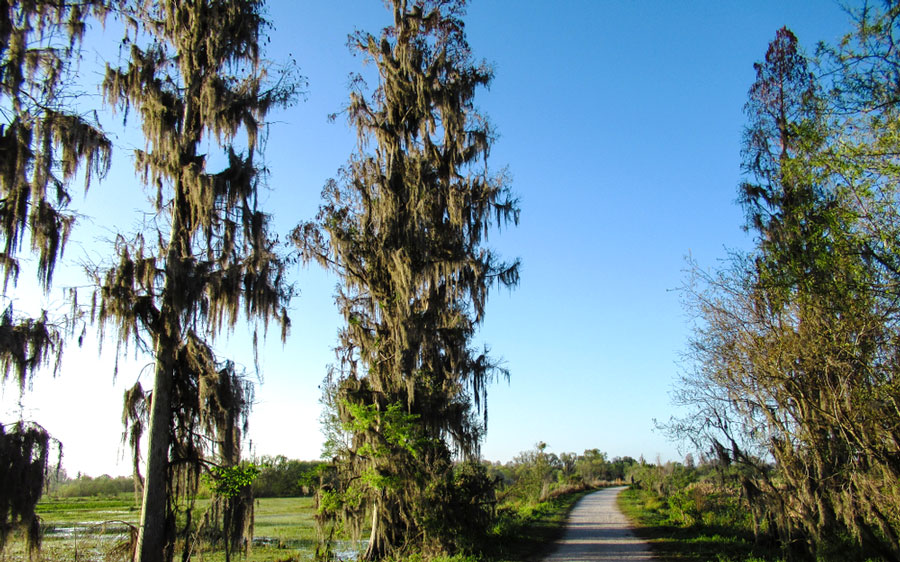 The Circle B Bar Reserve in Florida during a sunny day