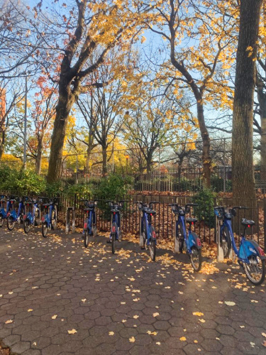 View of Citi bikes parked on the side of a street