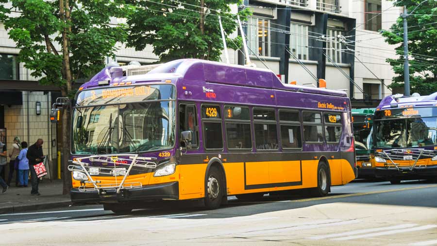 View of colorful city buses in a street in Seattle