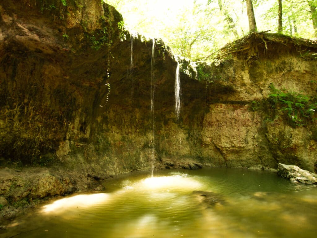 View of the small waterfall at the Clark Creek Natural Area
