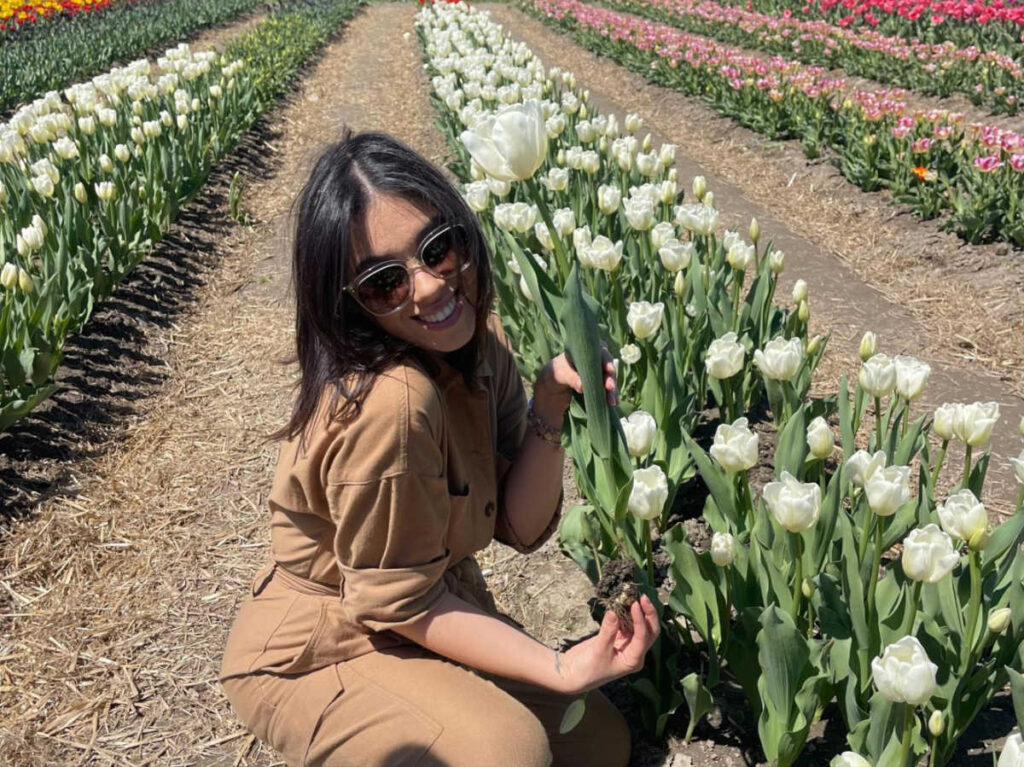 The author Claudicet picking a white tulip at Cider Hill Farm