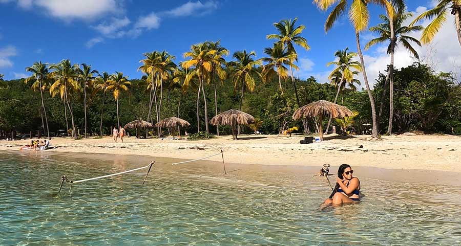 The author's wife and their puppy enjoying the clear water in Honeymoon Beach