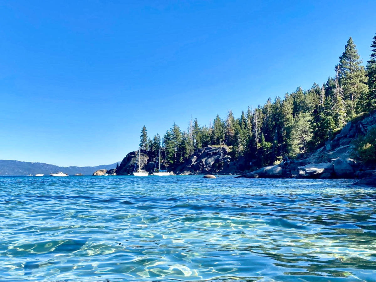 Scenic view of the crystal clear waters of Lake Tahoe and the pine trees around
