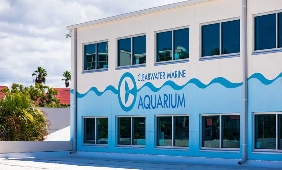 Exterior and creative mural at the façade of Clearwater Marine Aquarium on a sunny day
