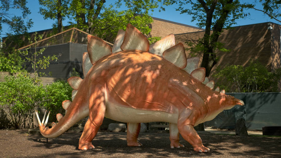 The Stegosaurus statue outside the Cleveland Museum of Natural History
