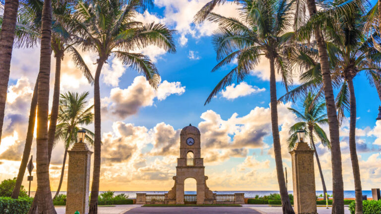 The clock tower surrounded by palm trees with the blue sky in the background