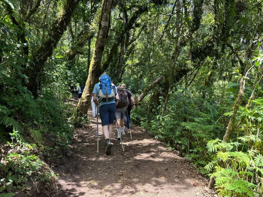 Hikers passing by the cloud forest area
