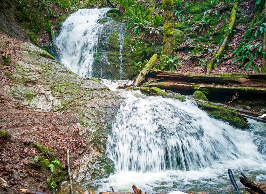 Captivating view of Coal Creek Falls in Cougar Mountain with green plants around