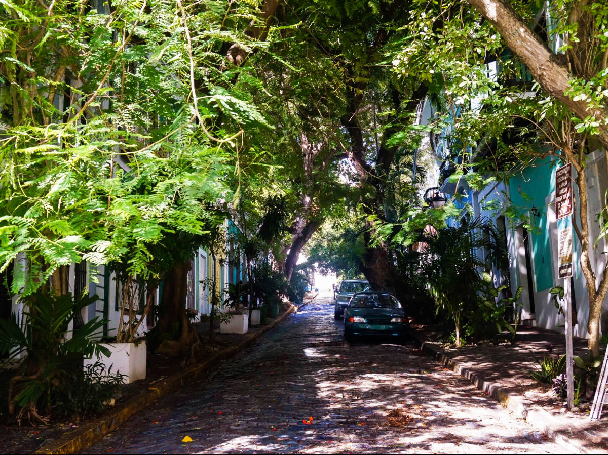 View of the cobblestone street surrounded by greenery in Old San Juan