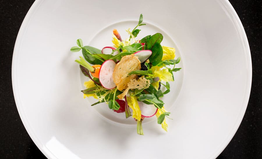 View of a salad on a plate