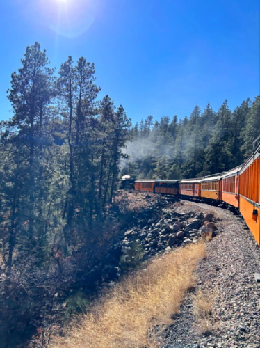 View of a train travelling in Durango and Silverton Narrow Gauge Railroad