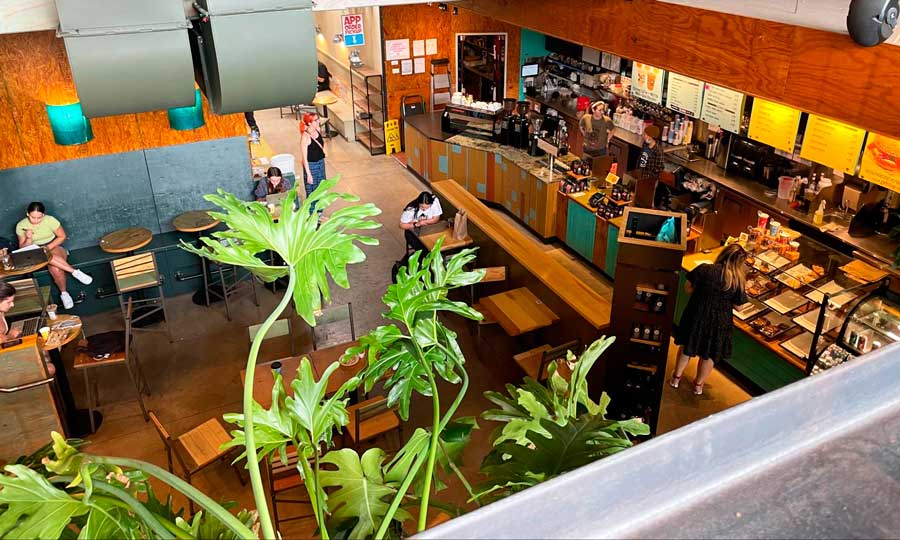The Colectivo Coffee interior from the top view