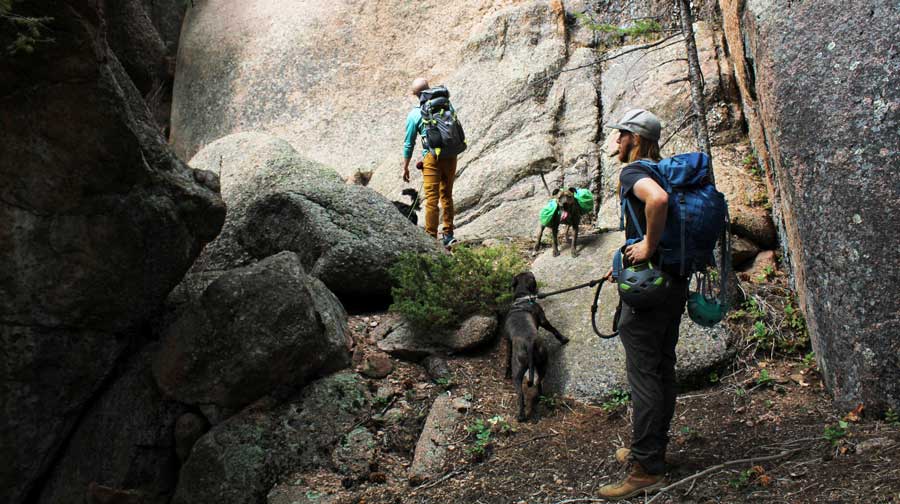 The author with her husband and their dogs on a hike in Colorado