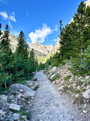 View of the hiking trail surrounded with greenery to Rocky Mountain National Park