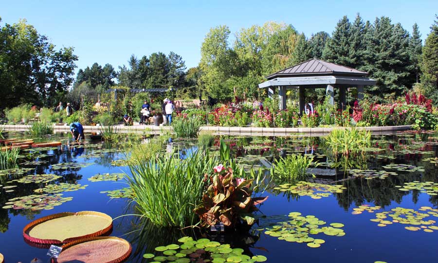 View of people wandering in Denver Botanic Gardens